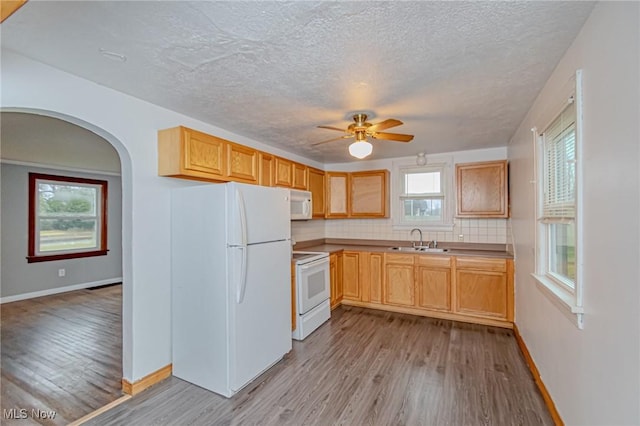 kitchen with light wood-type flooring, tasteful backsplash, white appliances, ceiling fan, and sink