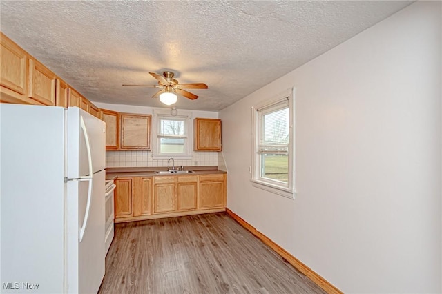 kitchen with backsplash, white appliances, ceiling fan, sink, and light hardwood / wood-style flooring