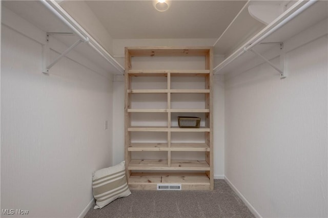 walk in closet with carpet