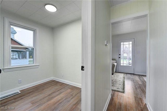 entryway featuring wood-type flooring