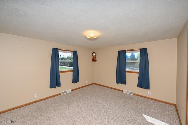 carpeted spare room featuring plenty of natural light and a textured ceiling