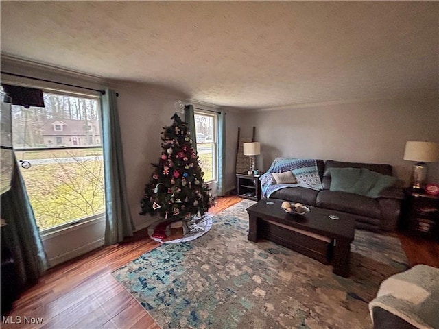 living room featuring hardwood / wood-style flooring and a textured ceiling