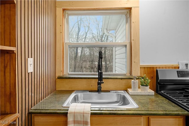 kitchen featuring black gas range, wood walls, and sink