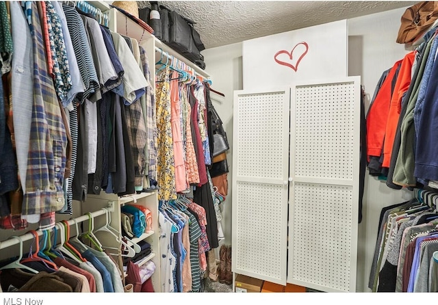 view of walk in closet