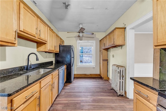 kitchen with dark hardwood / wood-style flooring, radiator, sink, dark stone countertops, and dishwasher