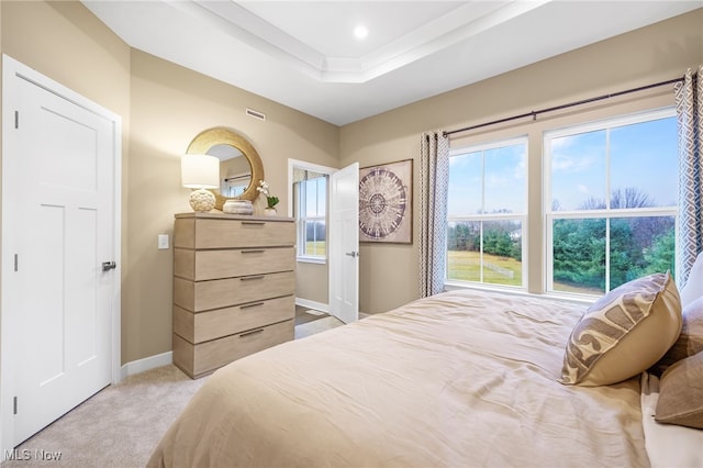 bedroom featuring light carpet and a raised ceiling