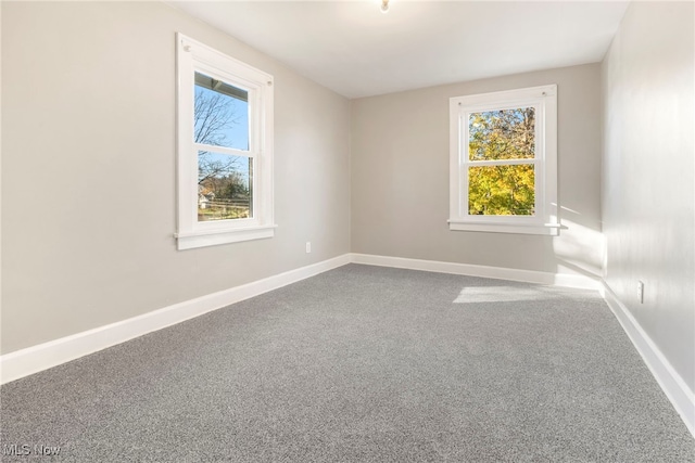 spare room featuring carpet floors