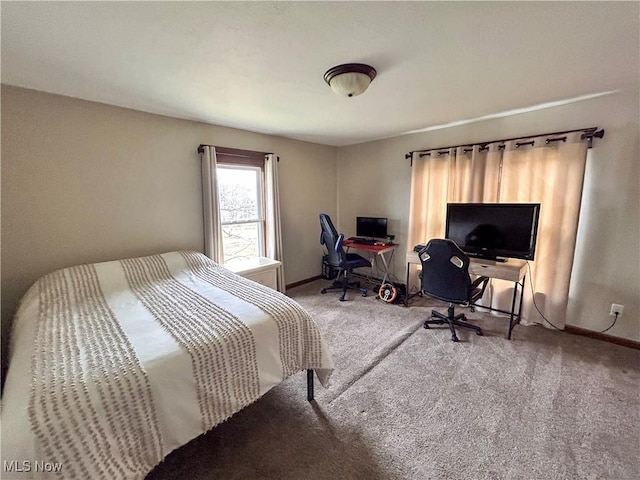 view of carpeted bedroom