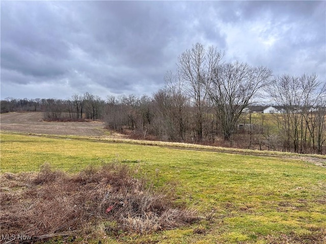 view of yard featuring a rural view