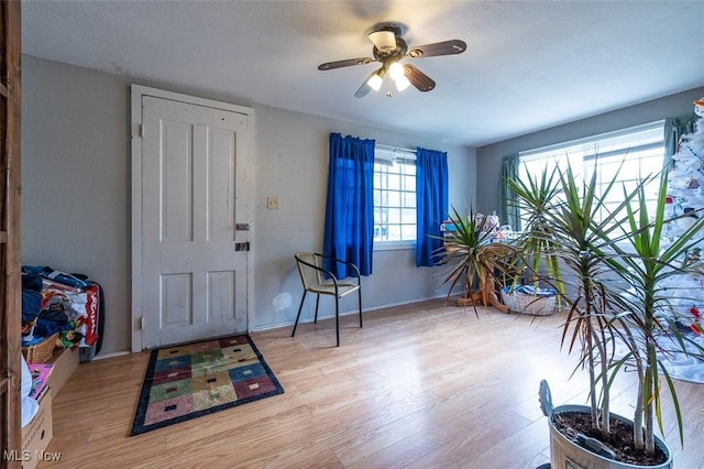 foyer entrance featuring light hardwood / wood-style floors and ceiling fan