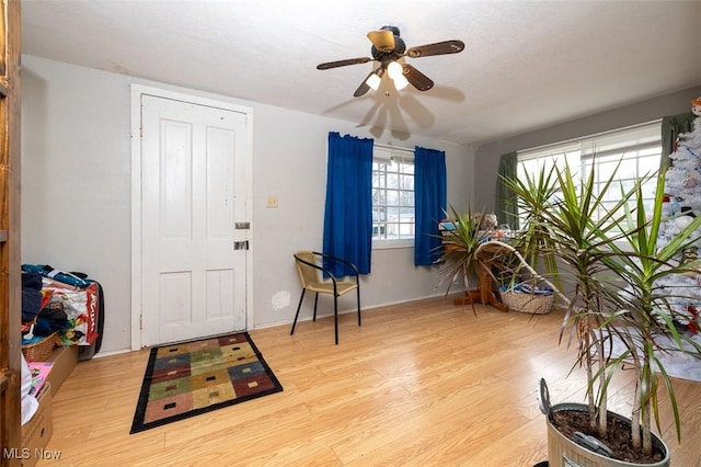 entrance foyer with ceiling fan and light hardwood / wood-style flooring