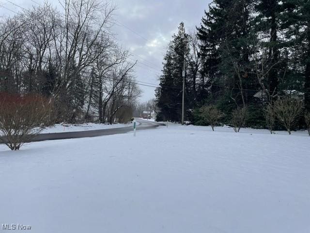 view of snowy yard