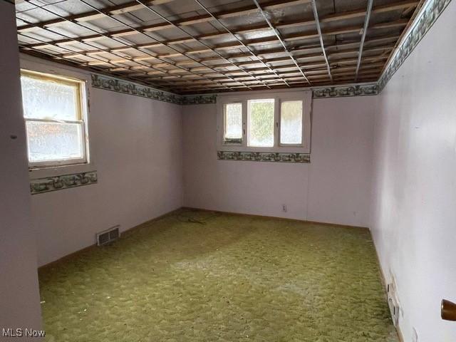 basement with carpet