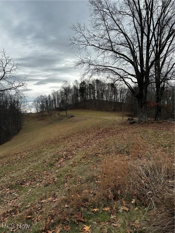 view of local wilderness