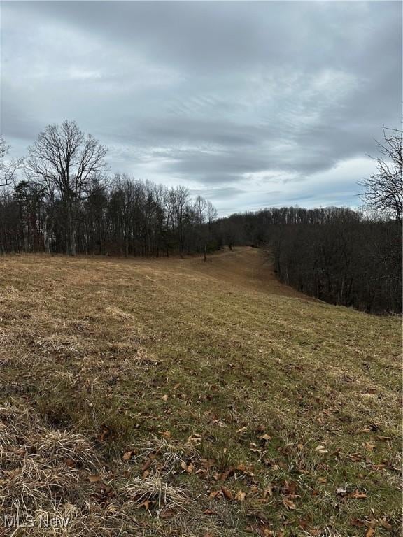 view of local wilderness with a rural view