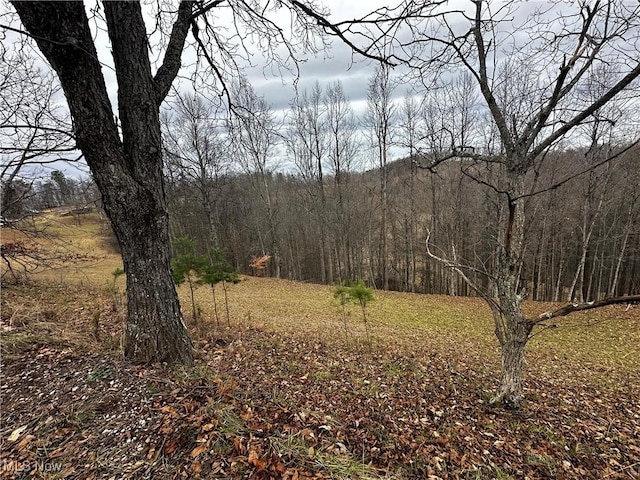 view of local wilderness