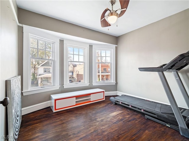 exercise area featuring ceiling fan and dark hardwood / wood-style flooring