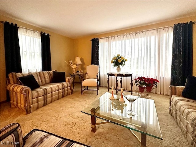 view of carpeted living room