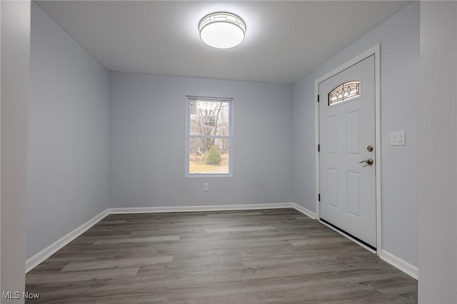 entrance foyer with light hardwood / wood-style flooring