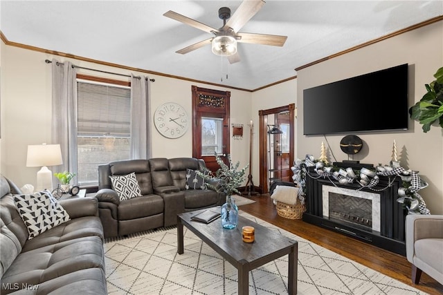 living room with light hardwood / wood-style floors, ceiling fan, and ornamental molding