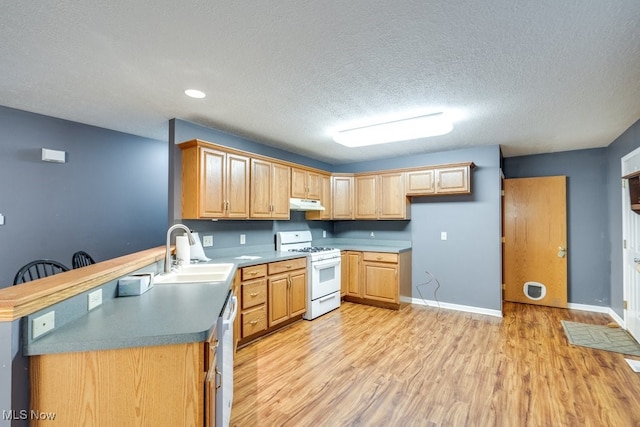 kitchen featuring gas range gas stove, sink, light hardwood / wood-style flooring, stainless steel dishwasher, and a textured ceiling