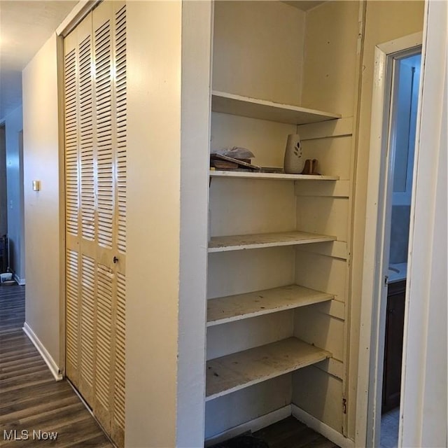 view of closet