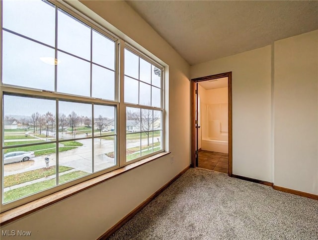 carpeted spare room with plenty of natural light