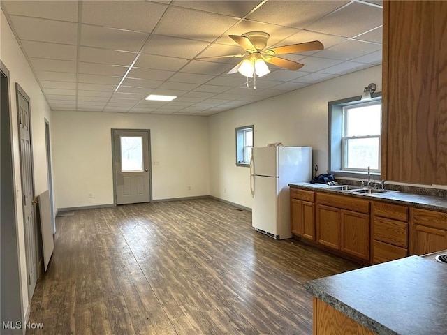 kitchen featuring a drop ceiling, ceiling fan, sink, white refrigerator, and dark hardwood / wood-style floors