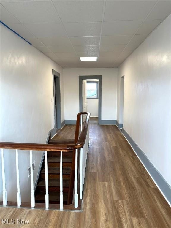 hall featuring wood-type flooring and a paneled ceiling