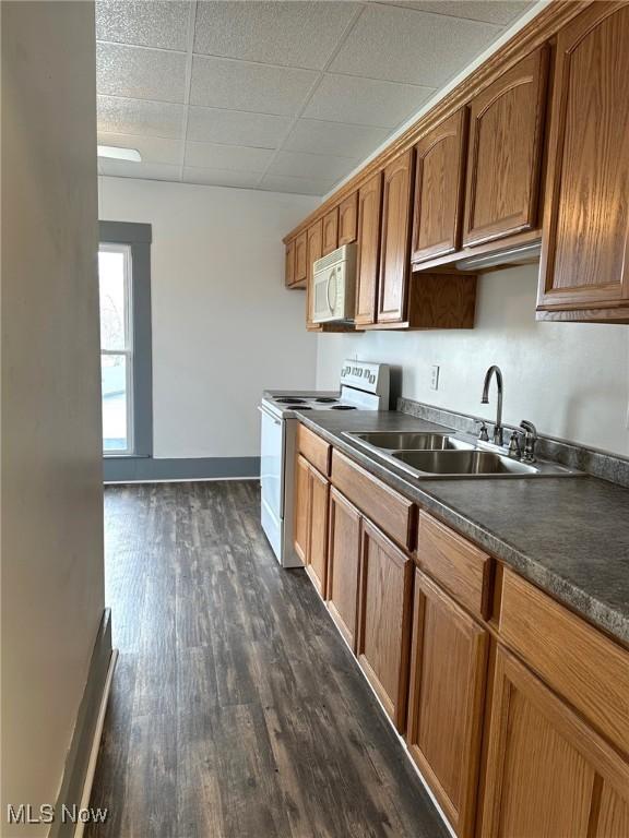 kitchen with stainless steel electric stove, dark hardwood / wood-style floors, and sink