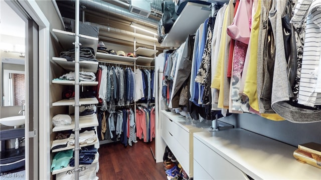21 Furnace St Unit 705, Akron, OH 44308 - walk in closet with wood finished floors and a sink