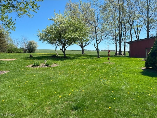 4175 E Middletown Rd, New Middletown, OH 44442 - view of grassy yard featuring an outbuilding