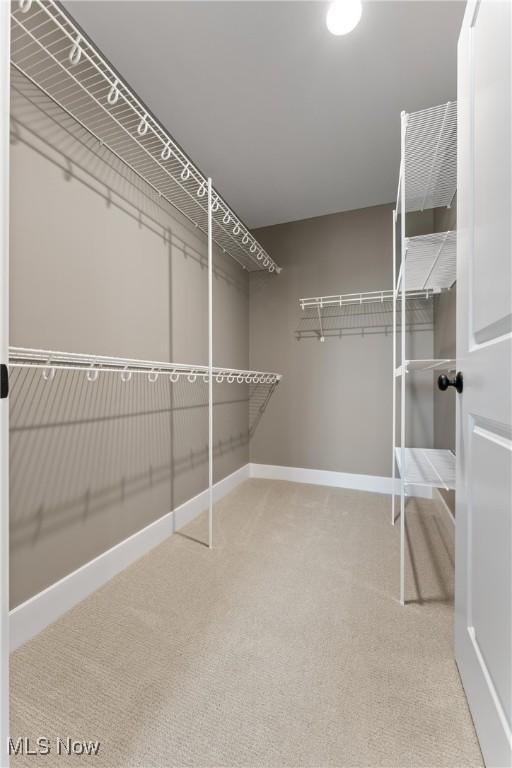 walk in closet with carpet