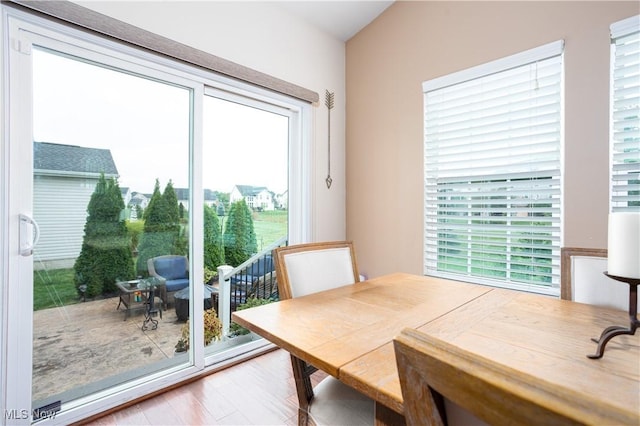 dining room with a wealth of natural light and hardwood / wood-style floors