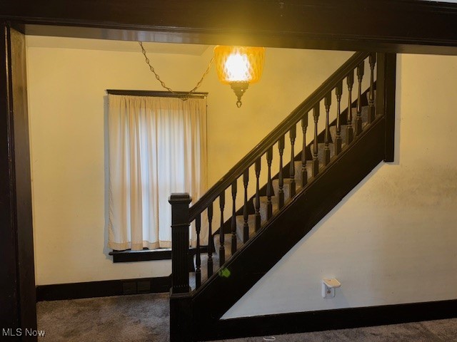 staircase featuring carpet