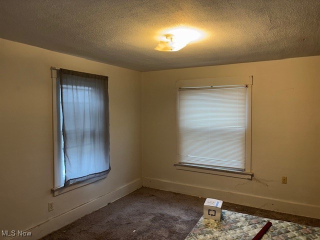 empty room featuring a textured ceiling and carpet floors