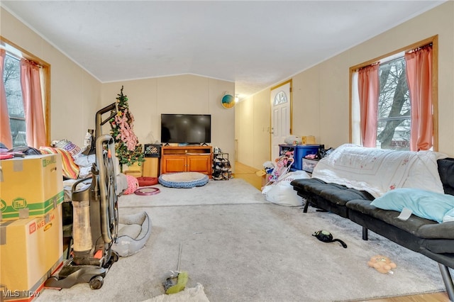 living room featuring vaulted ceiling