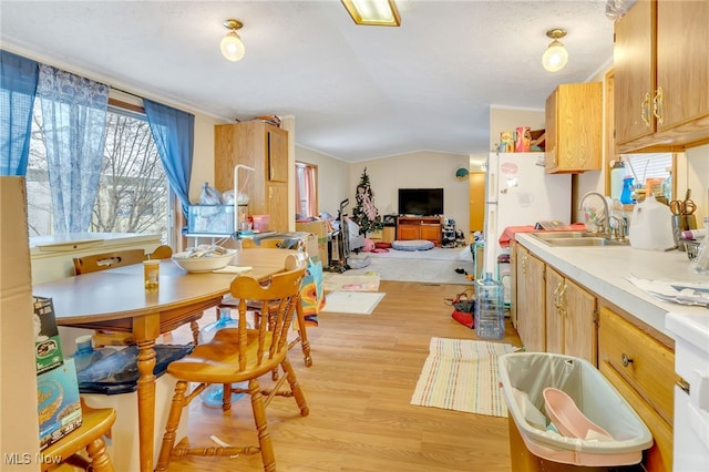 interior space with light hardwood / wood-style floors, vaulted ceiling, and sink