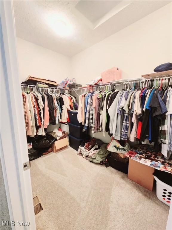 walk in closet featuring carpet flooring