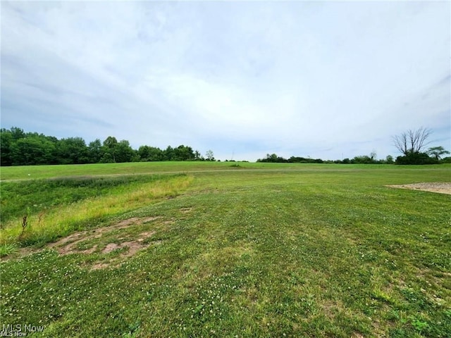 view of yard with a rural view