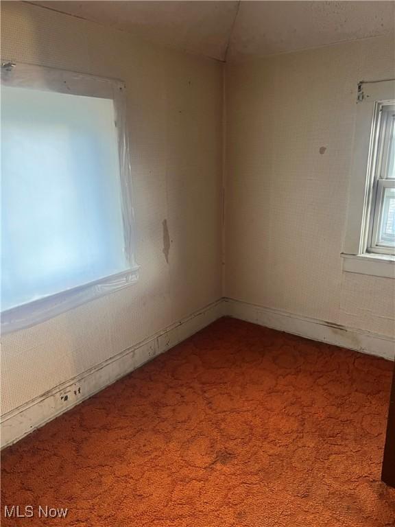 view of carpeted spare room