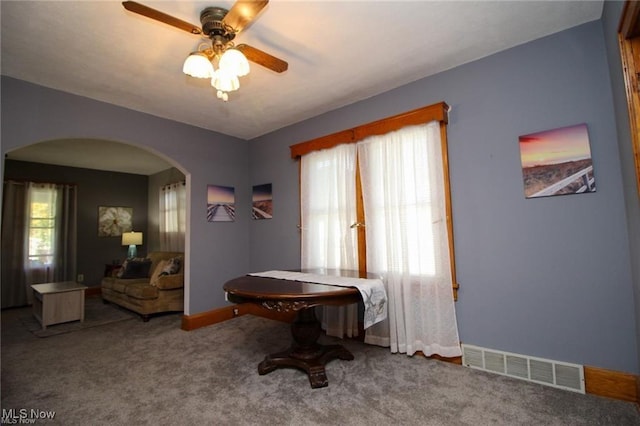 interior space featuring carpet flooring, ceiling fan, and a healthy amount of sunlight