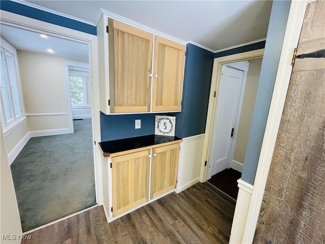 kitchen with light brown cabinetry, dark hardwood / wood-style floors, and crown molding