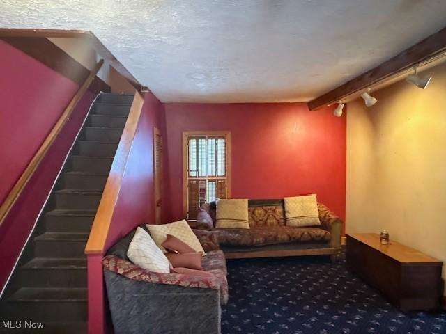 60 Liberty St, Seville, OH 44273 - living area with rail lighting, stairway, and carpet floors
