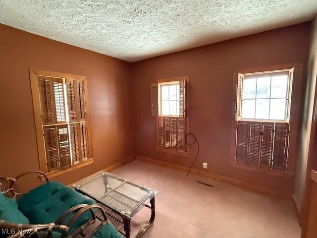 miscellaneous room with carpet floors and a textured ceiling