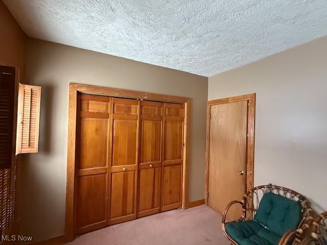 unfurnished room featuring light colored carpet and a textured ceiling