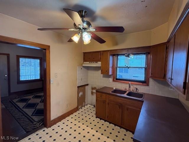 60 Liberty St, Seville, OH 44273 - kitchen with a sink, under cabinet range hood, plenty of natural light, and backsplash