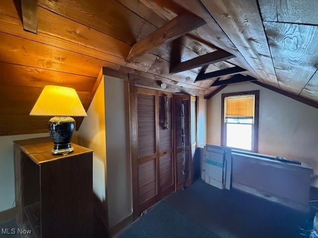 60 Liberty St, Seville, OH 44273 - bonus room featuring vaulted ceiling