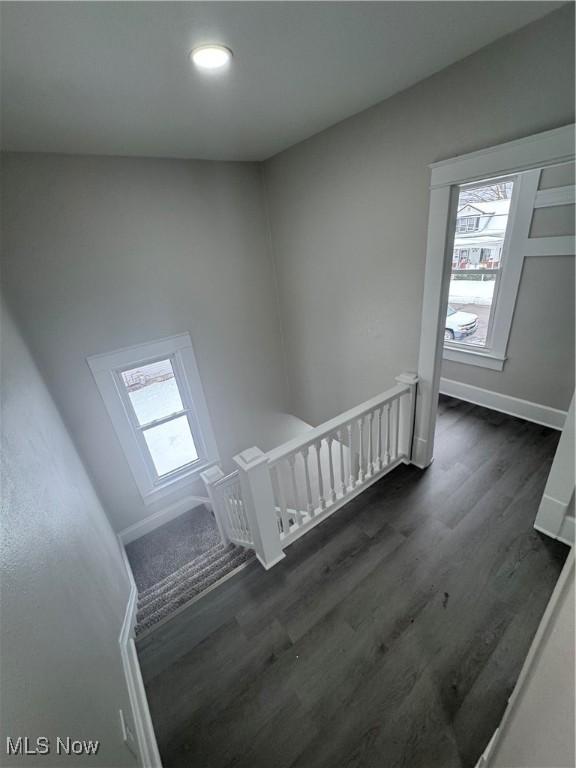 staircase with hardwood / wood-style floors