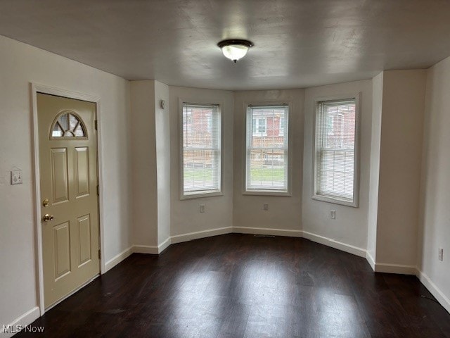 entrance foyer featuring dark wood-type flooring